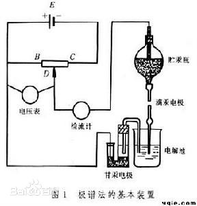香蕉视频污污下载