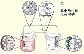 香蕉APP下载视频厂家