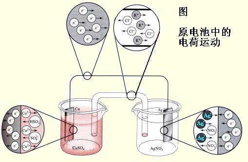 电化学香蕉视频污污下载