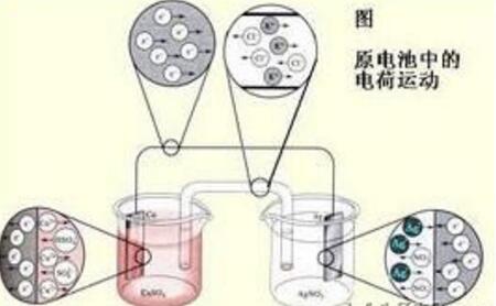 香蕉视频污污下载