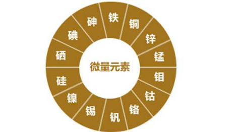 医用香蕉APP下载视频对视力的重要性