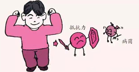 解析全自动香蕉APP下载视频发展的重要意义