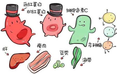 香蕉APP下载视频厂家分析元素之间的协同作用
