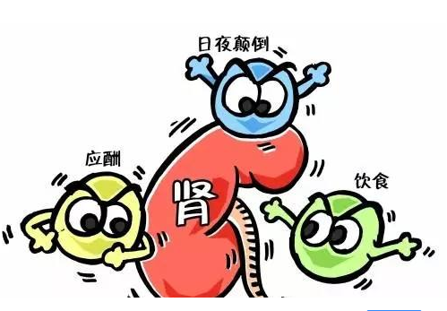 全自动香蕉APP下载视频厂家谈肾脏病与微量元素的关系