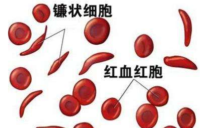 人体香蕉视频污污下载厂家介绍检测微量元素的仪器 人体香蕉视频污污下载厂家介绍检测微量元素的仪器