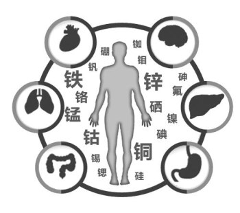 医用香蕉视频污污下载厂家谈微量元素的重要性 医用香蕉视频污污下载厂家谈微量元素的重要性