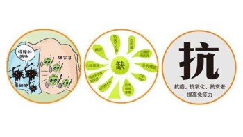 香蕉APP下载视频厂家分析哪些微量元素能防癌 香蕉APP下载视频厂家分析哪些微量元素能防癌