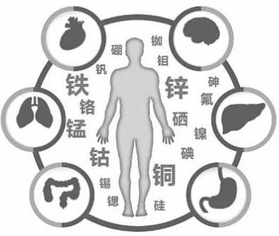 医用香蕉视频污污下载为91香蕉小视频入口的健康提供了保障 医用香蕉视频污污下载为91香蕉小视频入口的健康提供了保障