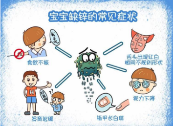 微量元素测试仪厂家解析缺锌引起的病症 微量元素测试仪厂家解析缺锌引起的病症