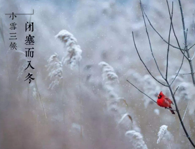 全自动微量分析仪厂家山东91香蕉小视频入口提示您天冷了，照顾好自己！奥利给