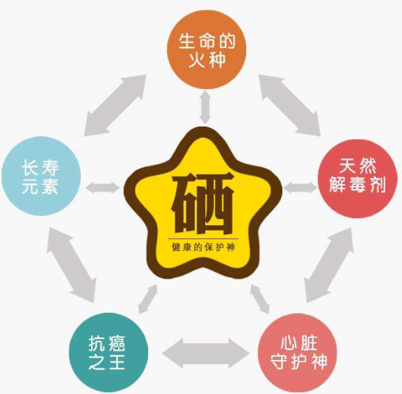 全自动香蕉视频污污下载厂家分析硒为何被称为生命的火种？