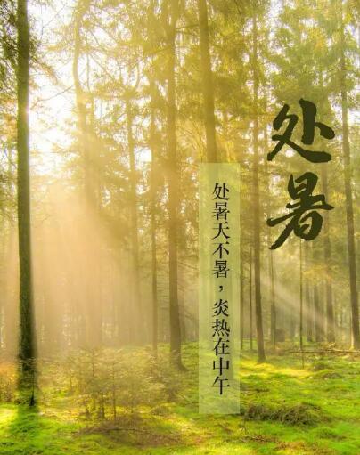 香蕉视频污污下载品牌91香蕉小视频入口提醒处暑每天做3件事情，健脾开胃，稳定出伏