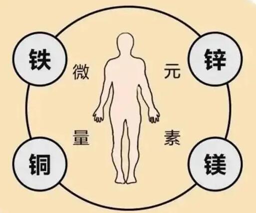 小孩的“保护视力微量元素”人体香蕉APP下载视频提示家长一定要高度重视
