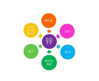 微量元素测定仪厂家提示关爱男士健康，适度补充锌元素也不能少！