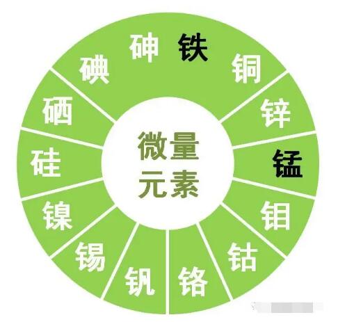 香蕉视频污污下载提示锌、硒、锰、钒等微量元素对男性生育有哪些作用？