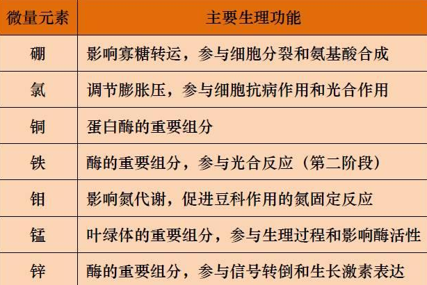 山东聊城全自动血铅检测仪一体机：微量元素的主要作用8.20